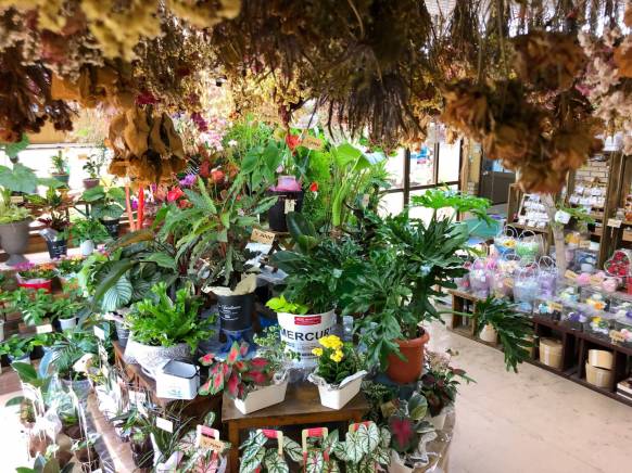 「おがた生花店」　（福島県福島市）の花屋店舗写真3