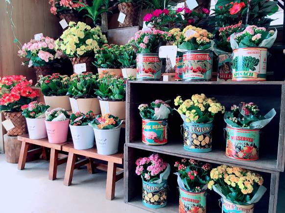「おがた生花店」　（福島県福島市）の花屋店舗写真2